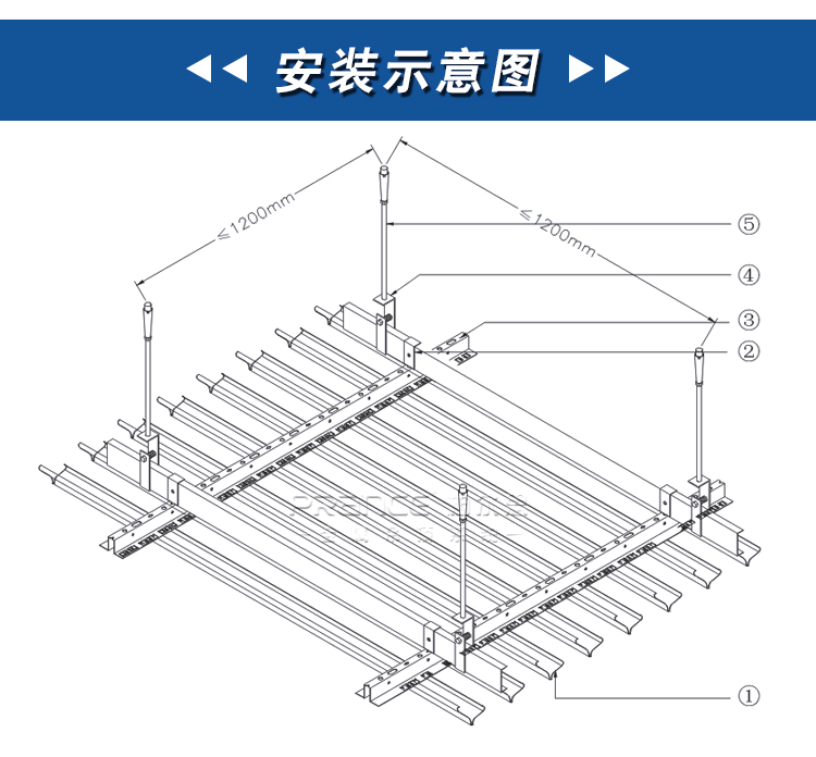 柏爾思V型條扣