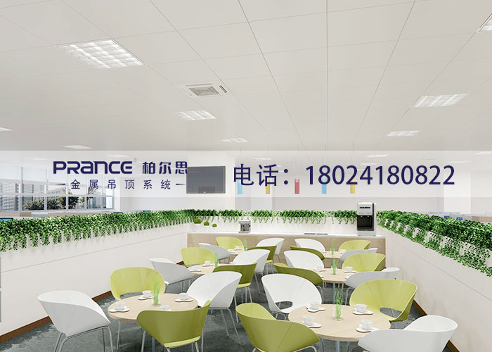 柏爾思吊頂鋁扣板